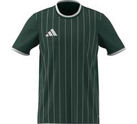 adidas Homme Entrada26 Graphic Jersey, Team Dark Green/White, L
