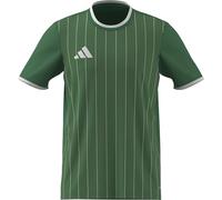 adidas Homme Entrada26 Graphic Jersey, Team Green/White, L