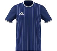 adidas Homme Entrada26 Graphic Jersey, Team Royal Blue/White, S