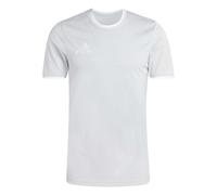 adidas Homme Entrada26 Jersey, Team Light Grey/White, XL