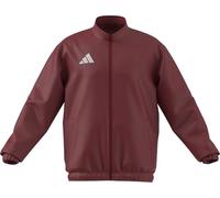 adidas Homme Entrada26 Presentation Jacket, Team Power Red 2/White, L