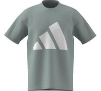 adidas Homme Essentials Big Logo Single Jersey Tee, Wonder Sage/White, L