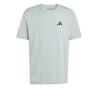 adidas Homme Outdoor Mountain Biking Graphic T-Shirt, Wonder Sage, S