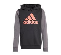 adidas Kids Felpa con Cappuccio Essentials Big Logo Colorblock
