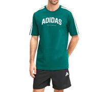 ADIDAS M C COLLEGE TEE JJ3869 - VERDE / L
