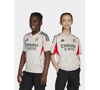 adidas Maglia Away Benfica 25/26 - Beige, beige 15-16Y