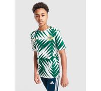 adidas Maglia Pre-Match Northern Ireland Junior, verde