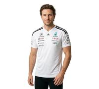 ADIDAS PERFORMANCE Maglia funzionale 'Mercedes-Amg Petronas Formula 1 Team Driver' acqua / rosso / nero / bianco Uomo ADIDAS PERFORMANCE L