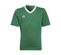 Maglia per bambini adidas Entrada 22 Vert 13/14 anni