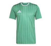adidas Men Maglia Grafica Entrada26