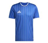 adidas Men Maglia Grafica Entrada26