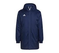 adidas Mens Insulated Jacket Ent22 Stadjkt, Tenabl, HG6301, XL EU