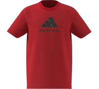 adidas Mixte Enfant Camo Graphic T-Shirt Junior, Pure Ruby, 13-14 Years