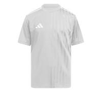adidas Mixte Enfant CAMPEON25 Jersey Kids, Team Light Grey/White, 11-12 Years