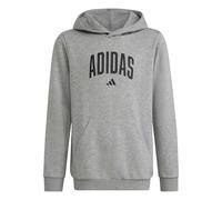 adidas Mixte Enfant Codes Collegiate Graphic Hoodie, Medium Grey Heather, 11-12 Years