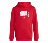 adidas Mixte Enfant Codes Collegiate Graphic Hoodie, Pure Ruby, 13-14 Years