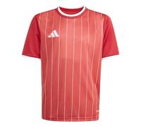 adidas Mixte Enfant Entrada26 Graphic Jersey Kids, Team Power Red 2/White, 11-12 Years