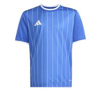 adidas Mixte Enfant Entrada26 Graphic Jersey Kids, Team Royal Blue/White, 15-16 Years