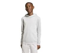 adidas Mixte Enfant Entrada26 Hoodie Kids, Team Light Grey/White, 7-8 Years