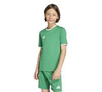 adidas Mixte Enfant Entrada26 Jersey Kids, Team Green/White, 3-4 Years