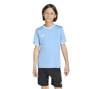 adidas Mixte Enfant Entrada26 Jersey Kids, Team Light Blue/White, 9-10 Years
