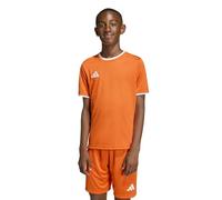 adidas Unisex - Bambini e Ragazzi Entrada26 Jersey Kids Shirt, Team Orange/White, 5-6 Years