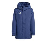 Adidas Entrada 26 Stadium Jacket Blu 11-12 Years Bambini