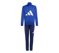 adidas Mixte enfant ESSENTIALS BIG LOGO CLIMACOOL TRACKSUIT, team royal blue/white, 13-14 Years