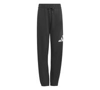adidas Mixte Enfant Essentials Big Logo Pants, Grey Six/White, 9-10 Years