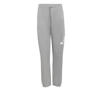 adidas Unisex - Bambini Essentials Big Logo Pants, Medium Grey Heather/White, 15-16 Years
