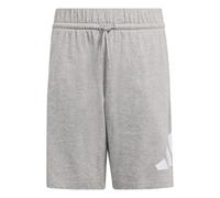 adidas Mixte Enfant Essentials Big Logo Shorts, Medium Grey Heather/White, 13-14 Years
