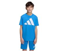 adidas Mixte Enfant Essentials Big Logo T-Shirt, Ray Blue/White, 11-12 Years