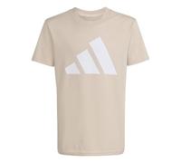 adidas Mixte enfant ESSENTIALS BIG LOGO T-SHIRT SET, Crystal Linen/white, 7-8 Years