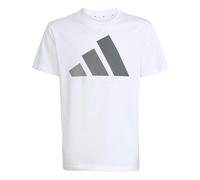 Adidas Mixte Enfant Essentials Big Logo T-Shirt, White/Grey Three/Grey Four/Grey Five, 11-12 Years