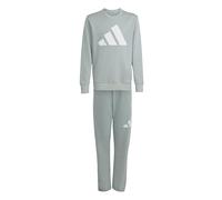 adidas Mixte enfant ESSENTIALS JOGGER, Wonder Sage/white, 11-12 Years