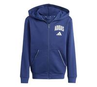 adidas Mixte Enfant Seasonals Collegiate Typography Hoody, Dark Blue/off White, 15-16 Years