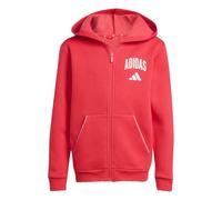 adidas Mixte Enfant Seasonals Collegiate Typography Hoody, Pure Ruby/off White, 13-14 Years