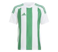 adidas Mixte Enfant Striped 24 Jersey Kids, White/Team Green, 7-8 Years