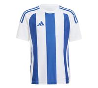 adidas Mixte Enfant Striped 24 Jersey Kids, White/Team Royal Blue, 5-6 Years