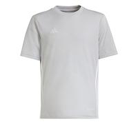 adidas Mixte Enfant TABELA 23 Jersey Youth, Team Light Grey/White, 13-14 Years