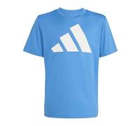 adidas Mixte Enfant Train Essentials Big Logo T-Shirt, Ray Blue/White, 5-6 Years