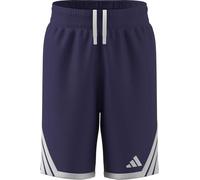 adidas Mixte Enfant Y Everyday PRO Bball Short, Team Colleg Purple, 13-14 Years