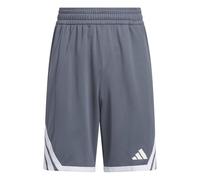 adidas Mixte Enfant Y Everyday PRO Bball Short, Team Onix/White, 15-16 Years