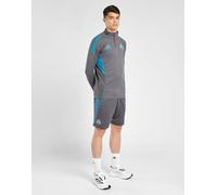 adidas Newcastle United FC Pantaloncino Allenamento, Grigio XS