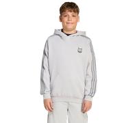Adidas Orginals X Minecraft Bambini - Felpe con cappuccio Grigio - Taglia 141 - 146 CM - Jersey di cotone Grey 141 - 146 CM