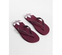 adidas Originals - Adisun - Infradito bordeaux-Rosso 43