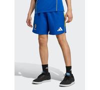 adidas Originals - Juventus Vialli Pack - Pantaloncini blu reale 3XL
