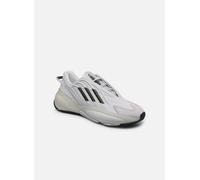 adidas originals - Ozrah Grigio - Sneakers 45 1/3 Grigio