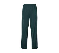 ADIDAS ORIGINALS Pantaloni 'Adicolor Classics Firebird' smeraldo / bianco Uomo ADIDAS ORIGINALS 33-34xregular smeraldo / bianco