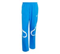 ADIDAS ORIGINALS Pantaloni 'Adicolor Teamgeist' azzurro / bianco Uomo ADIDAS ORIGINALS 30-32xregular azzurro / bianco